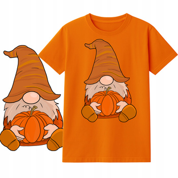 Koszulka dla Dzieci na Dzień Jesieni Nadruk do Szkoły i Przedszkola