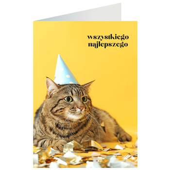 Kartka okolicznościowa - Kotek